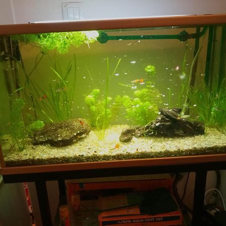 Duplex Lujo Leioa Apartman Kültér fotó